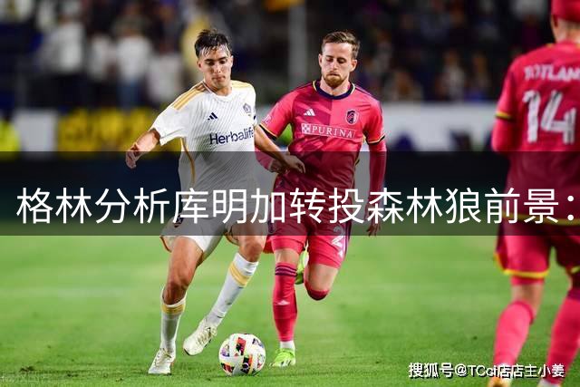 格林分析库明加转投森林狼前景：薪资制约首发位置